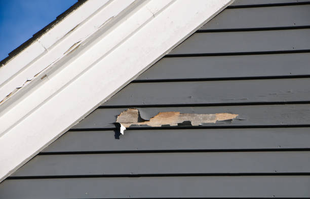 Affordable siding repair and maintenance services in Sunnyvale, CA
